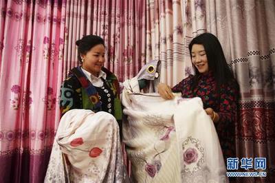 河南寶豐 『互聯網+』助力魔術專業村轉型